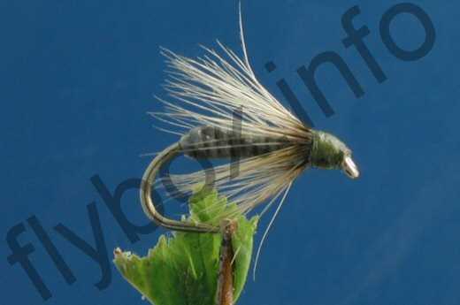 Fish4Flies Leaded Phantom Nymph